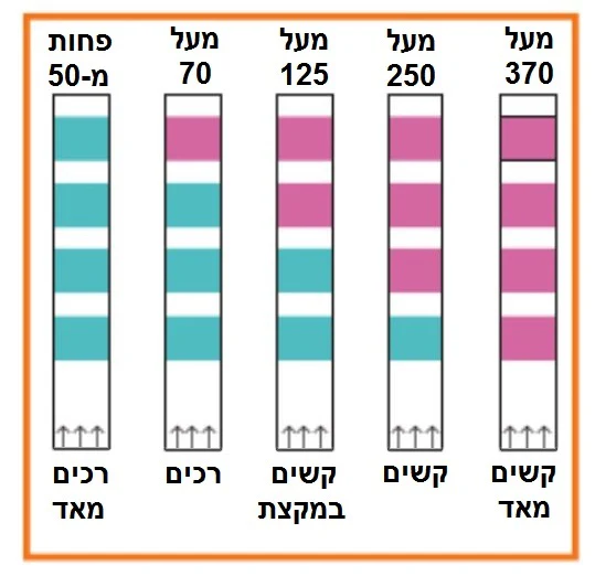 תמונת מוצר 2